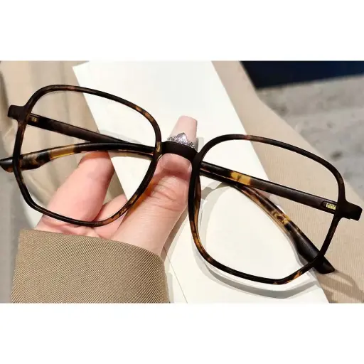 [BS0423-0020] Lunettes de vue  géométriques écaille TR90