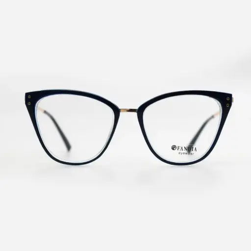 [95792 53-20-142 C4] Lunettes de vue 95792 C4 Bleu/Or